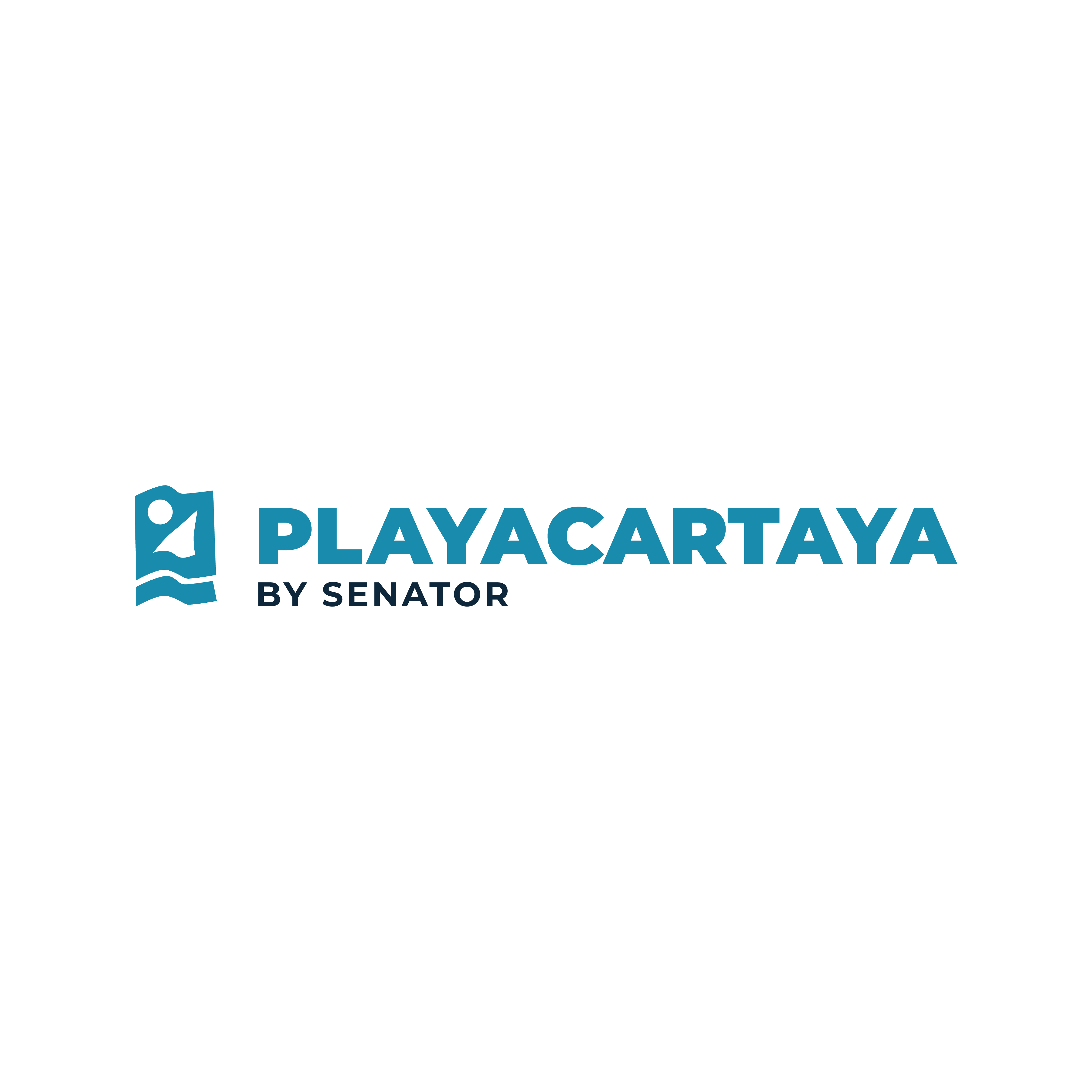 000_alta_Logo Playacartaya horizontal color.png